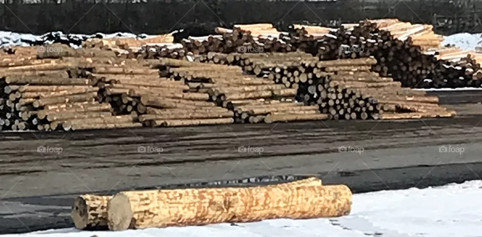Wood