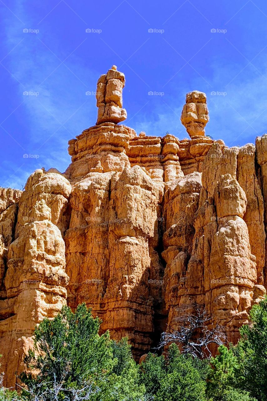 sandstone pillars in red canyon national park, Utah