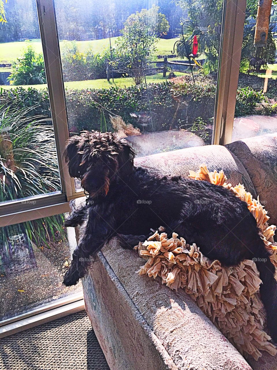 Sitting in the sunroom 