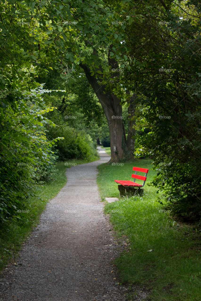 Red bench in the park