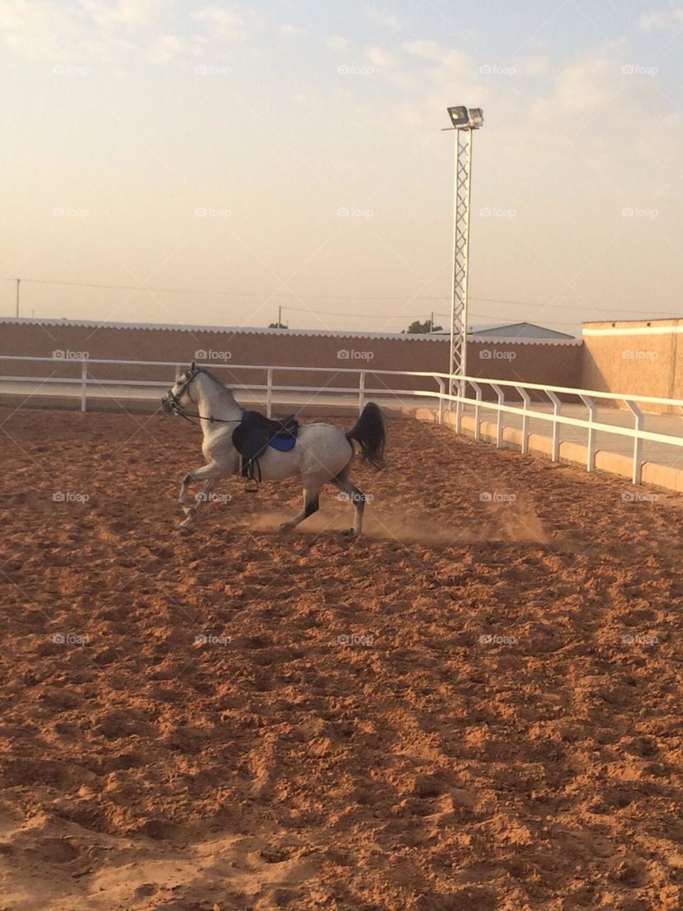 The best thing about horses
Wind if you run thunder if you scream
    The lightning of her spikes in the rock has been fired