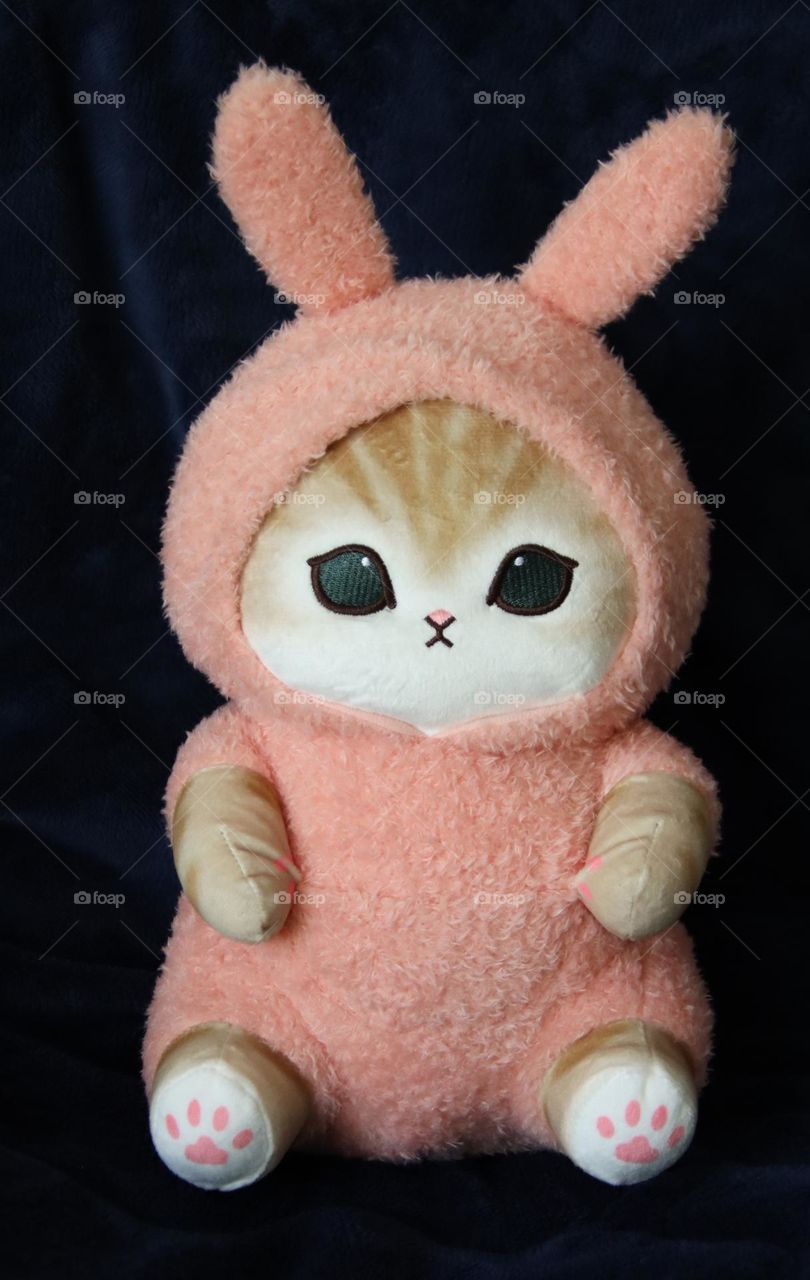 Mofusand cat plush 