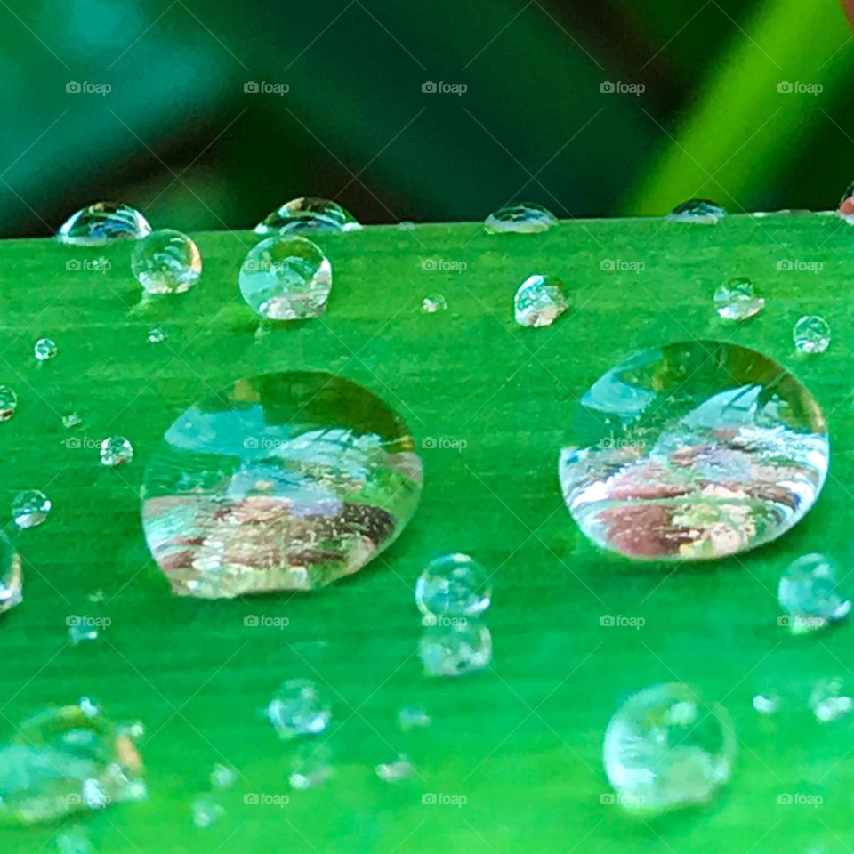 Rain drops