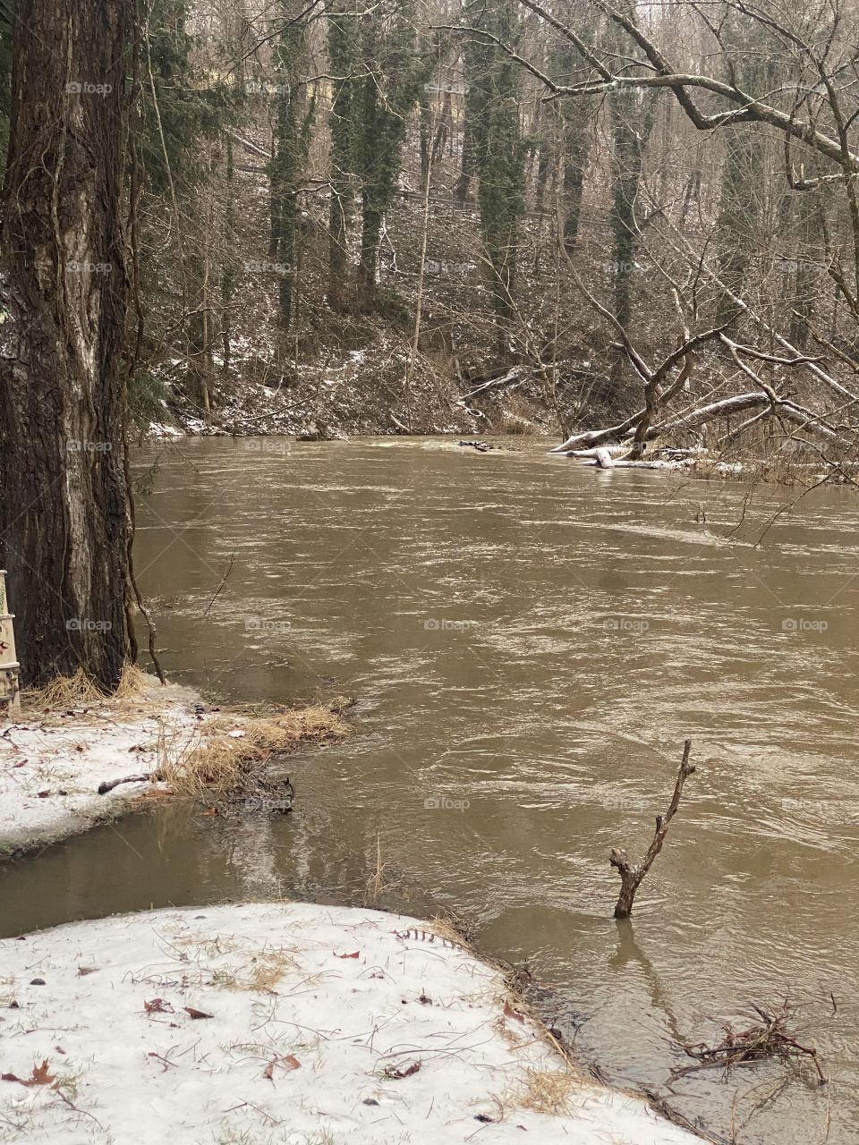 Flooding in the yard 