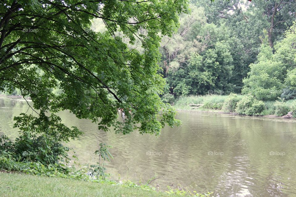 River, landscape 