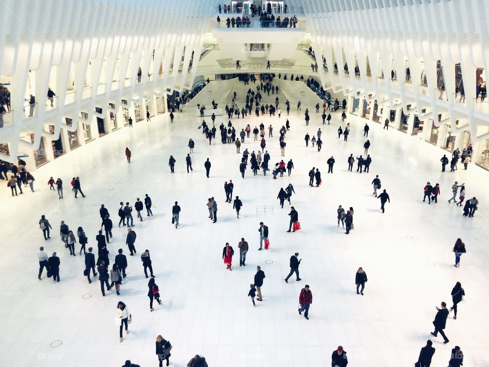 Winter, Snow, Many, People, Cold