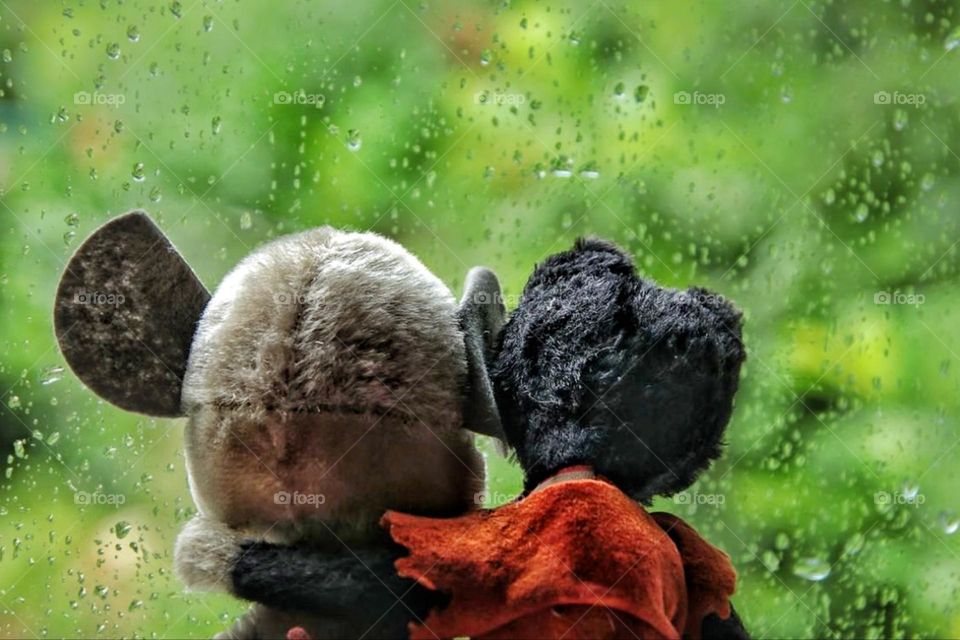 Two stuffed animals sit tightly entwined at the wet window and look into the rain