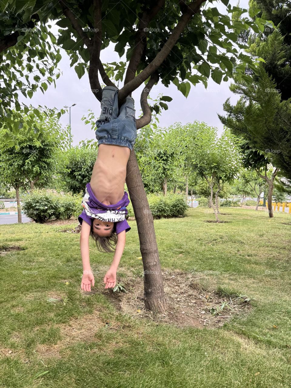 Game and excitement on the tree in a warm and hearty summer