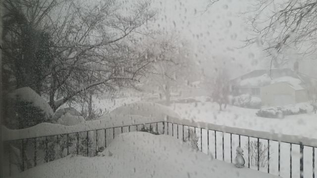Winter, Snow, Frost, Cold, Frozen