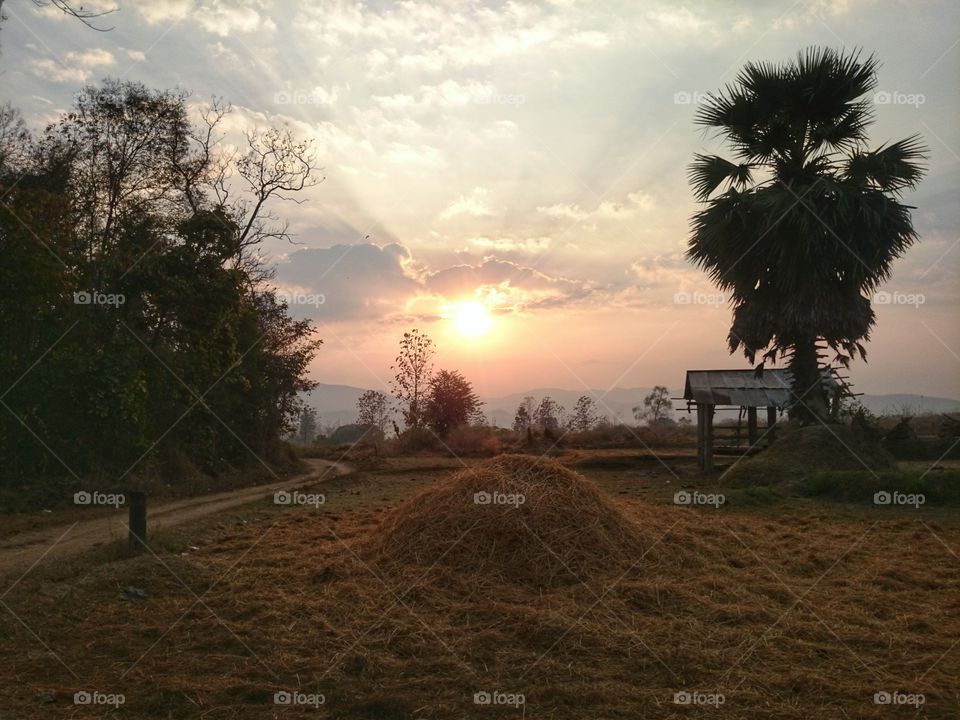 road , morning sunshine