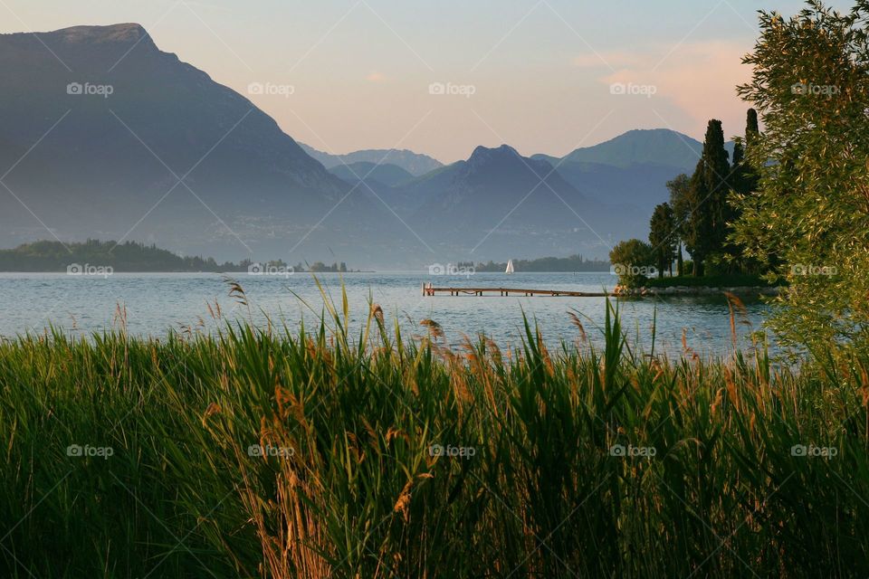 Tall grass near a mountain lake with a yacht and a pier in the distance