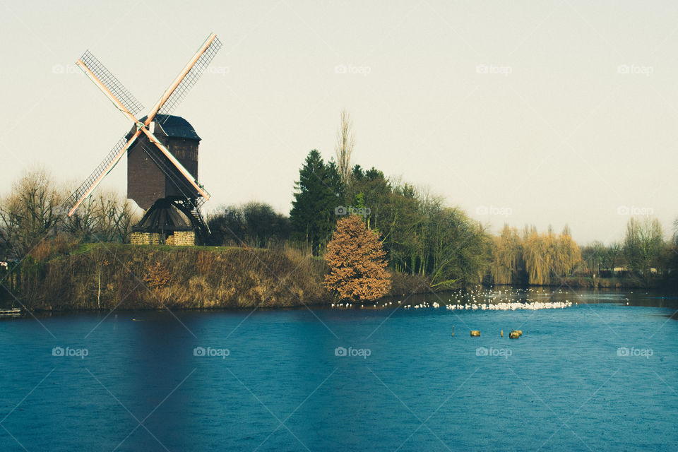 molen