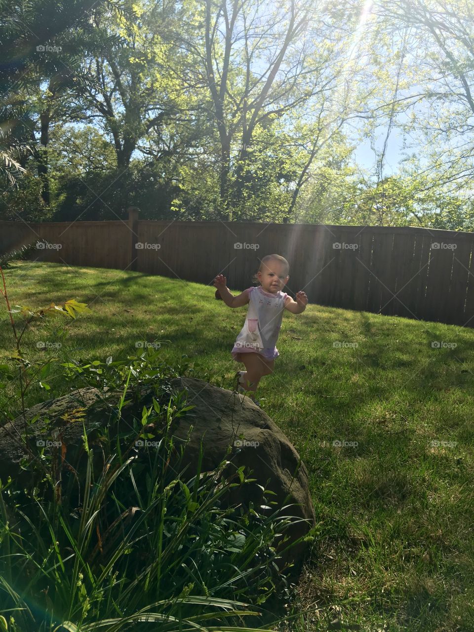 Frolicking through a ray of sunshine