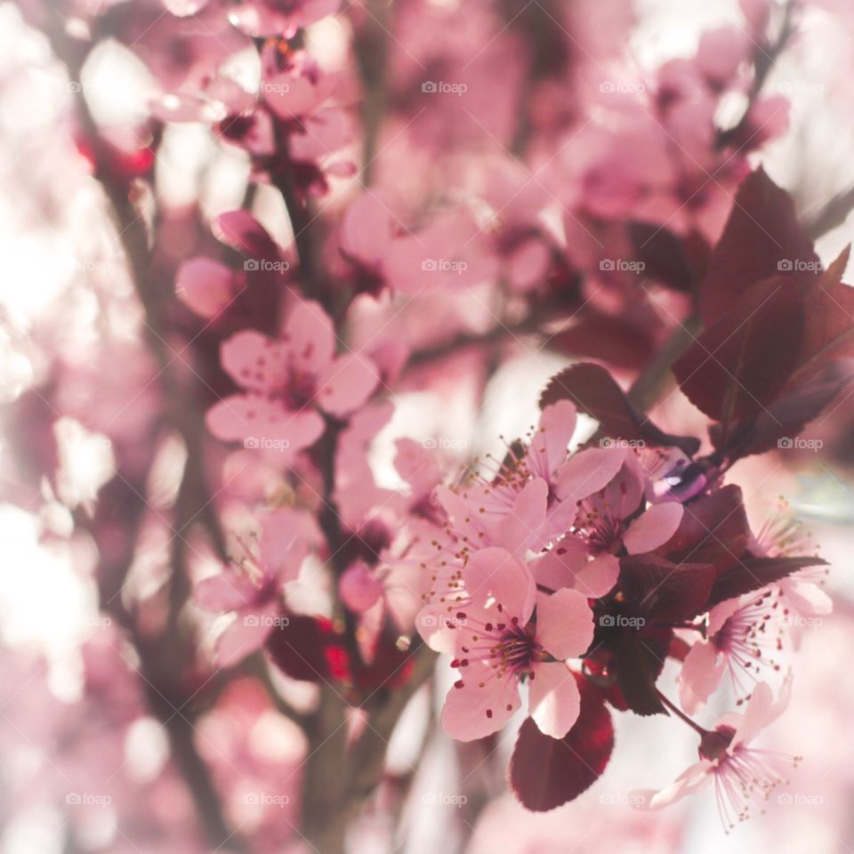 Spring is back 🌞😊