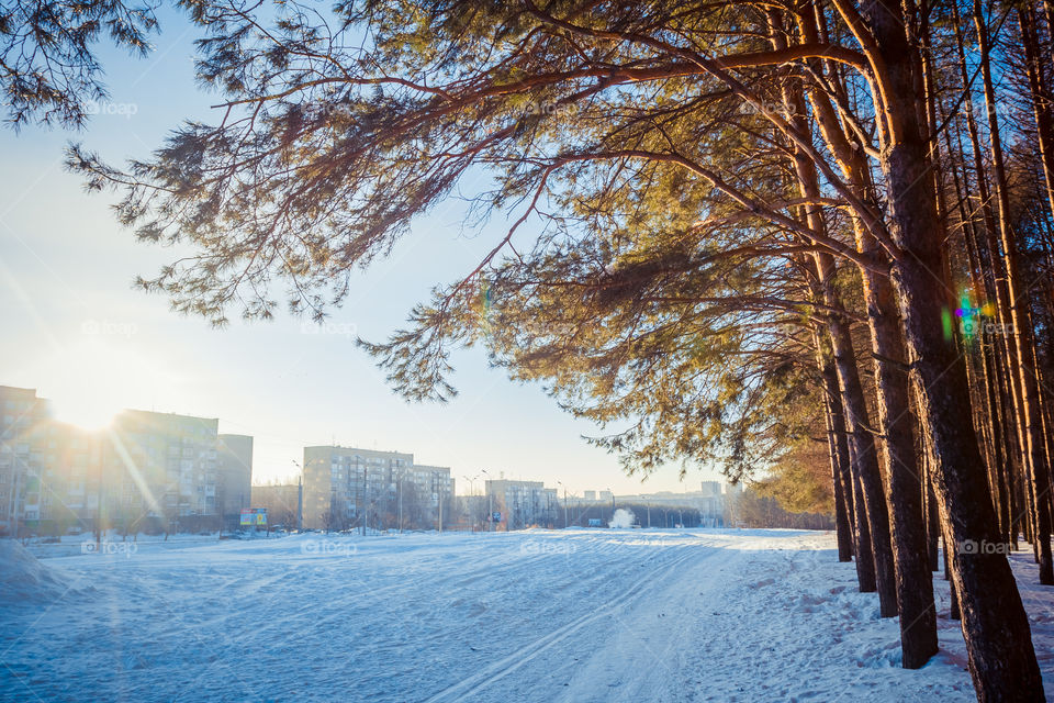 Winter in the city