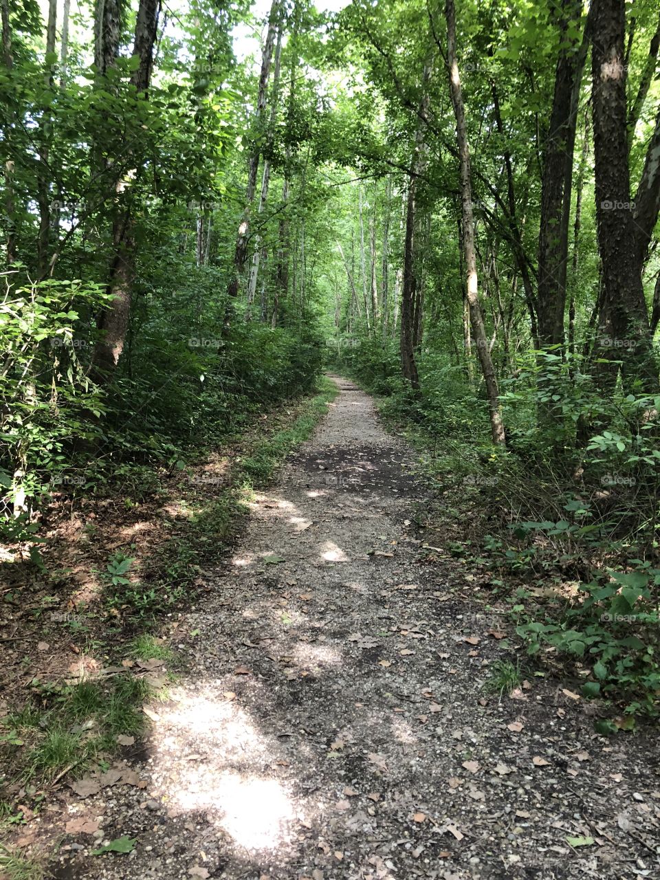 Path through nature Hocking Hills Ohio