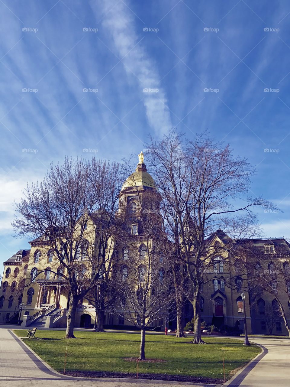 Bare trees in front of medieval building