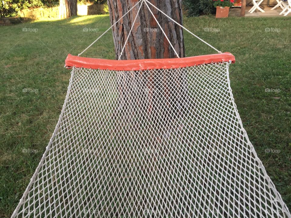 Hammock 