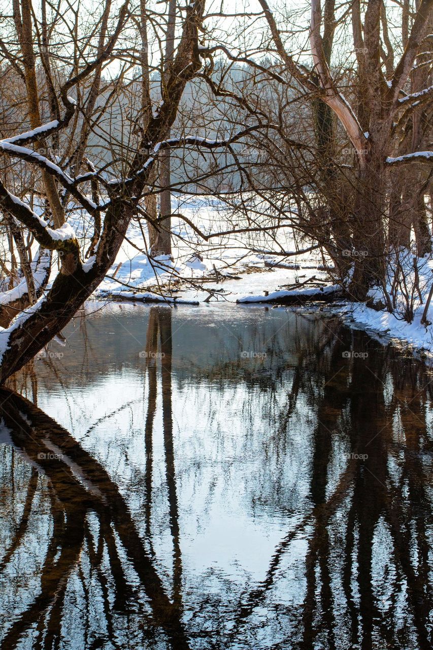 Reflection of trees in water at winter