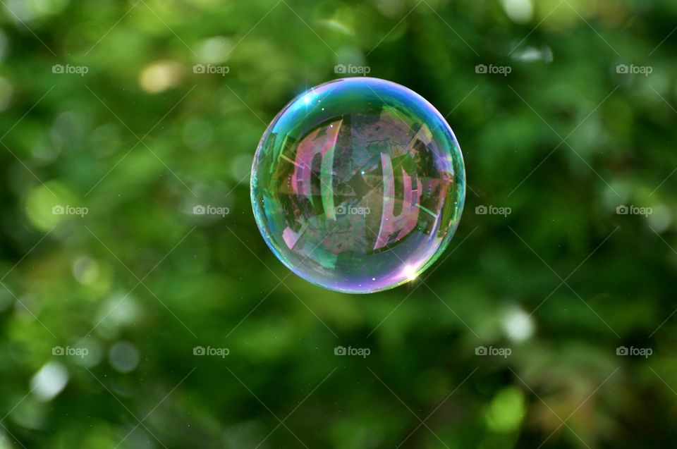 Extreme close-up of soap bubble