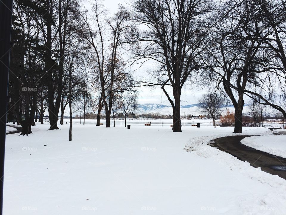 Winter walk in riverside park! 
