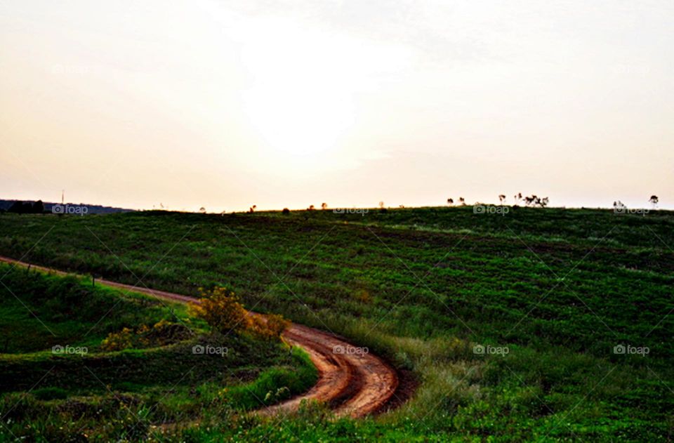 O caminho no meio do nada