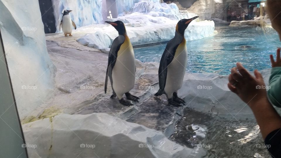 I'm not looking at you