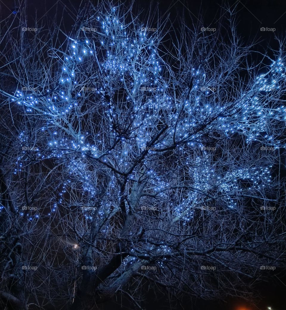 Tree decorated with light bulbs