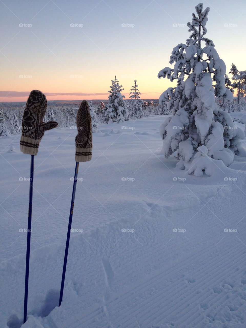 Skiing in Norway.