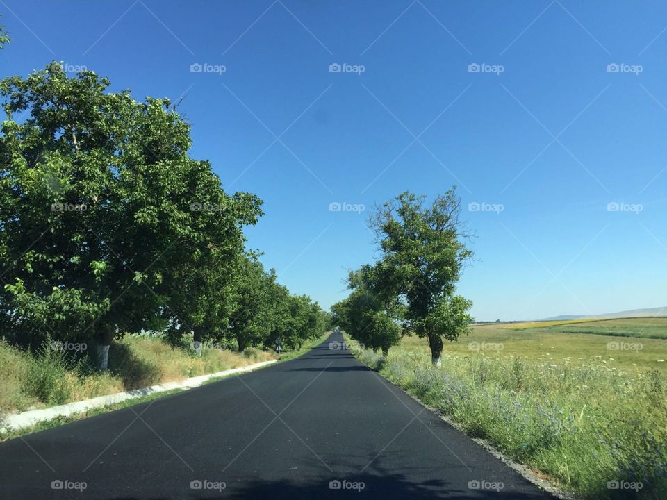 Road, Landscape, Tree, No Person, Sky