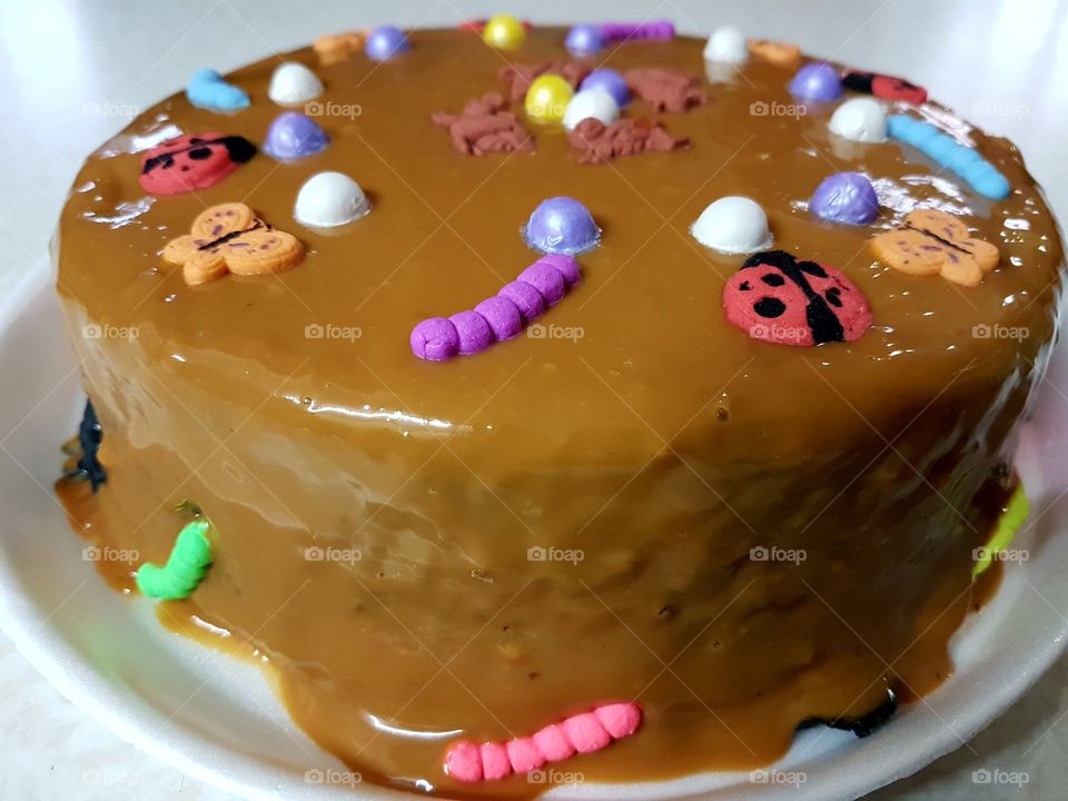 chocolate cake with insects on it