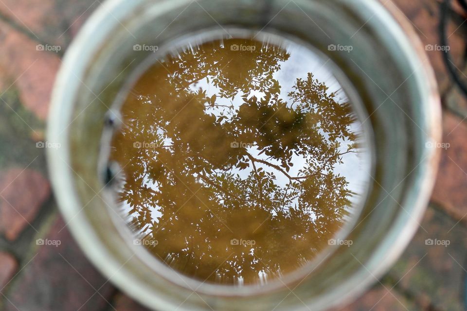 Reflection in a pail