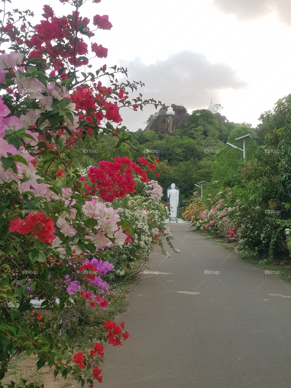 On the way to temple