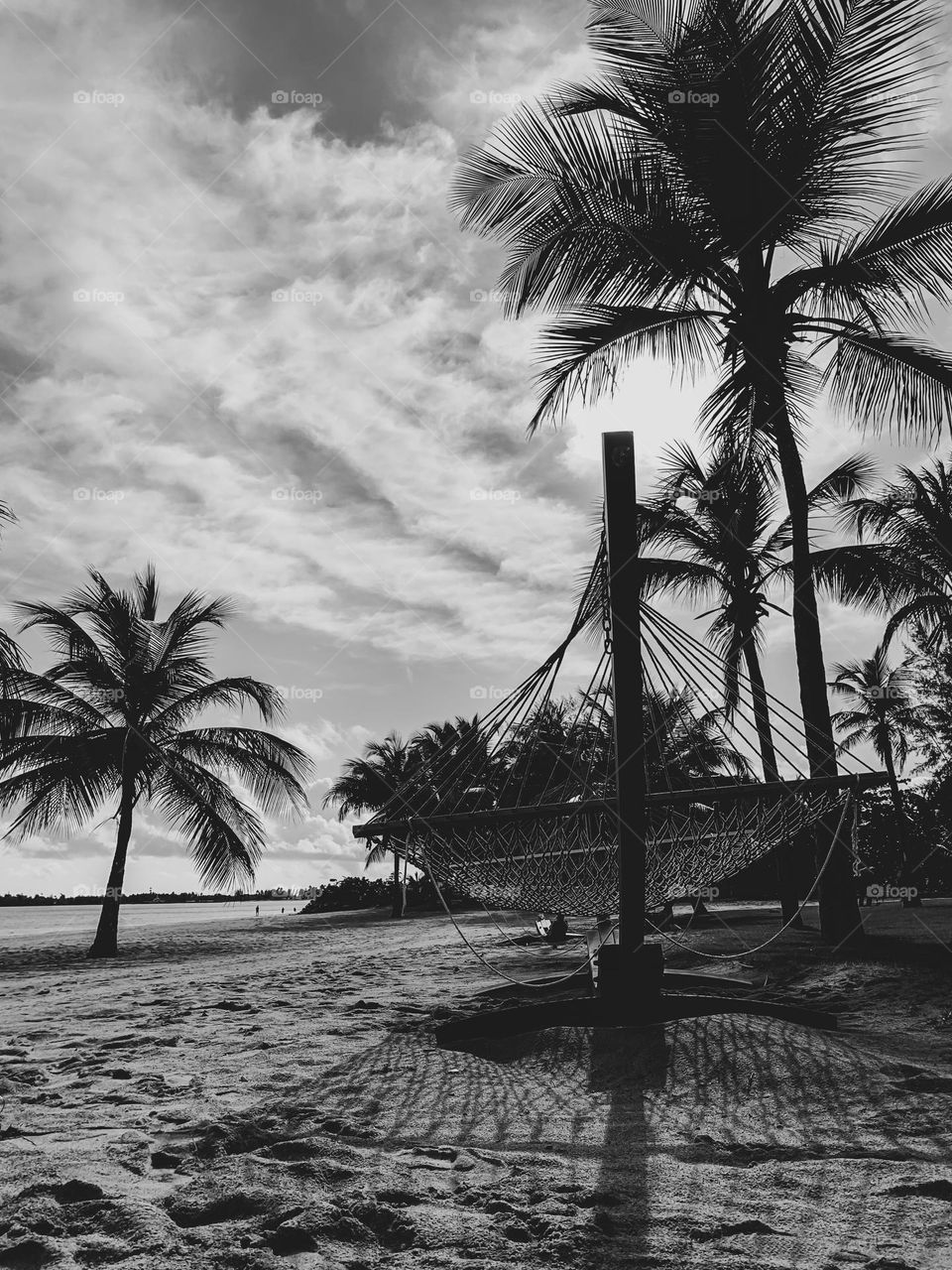 Hammock at the beach