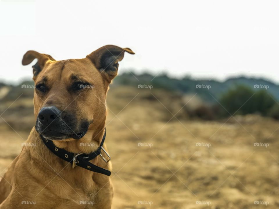 Macy San Olene Fire Rd. 