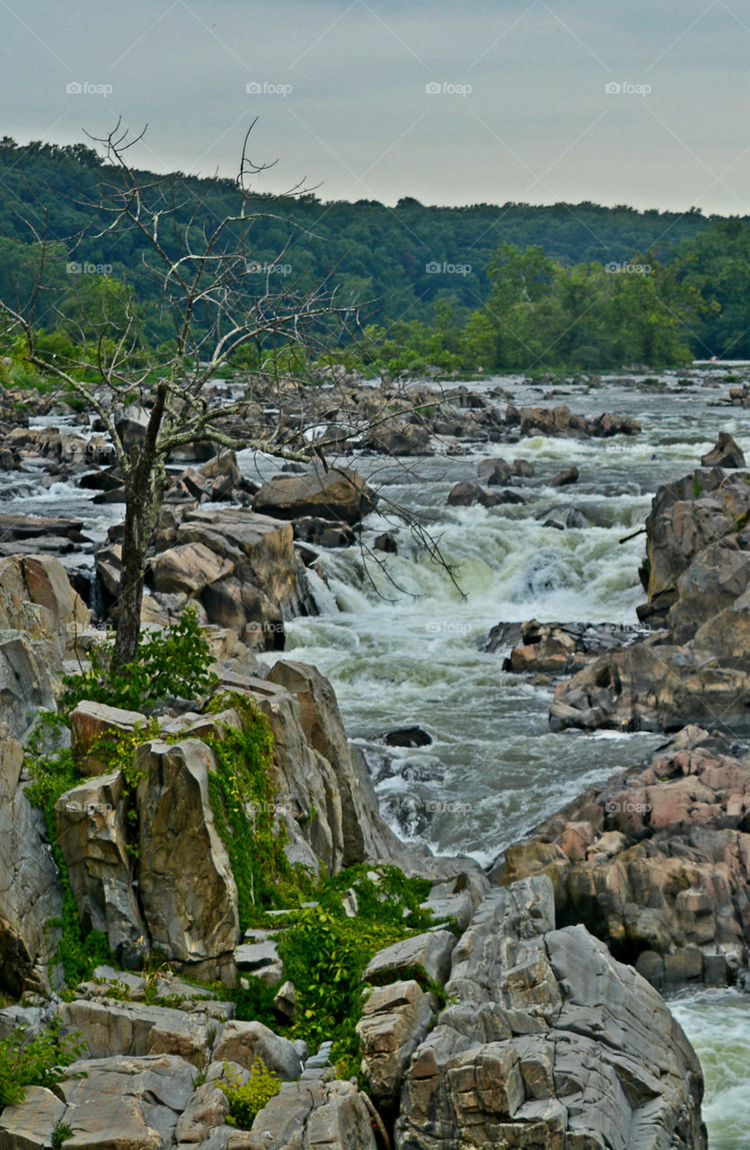 Full force ahead! Water, Water, everywhere! I just happen to be fortunate enough to live in a state that has approximately 12,000 square miles of beautiful, refreshing, colorful oceans, rivers, lakes, ponds and swamps!