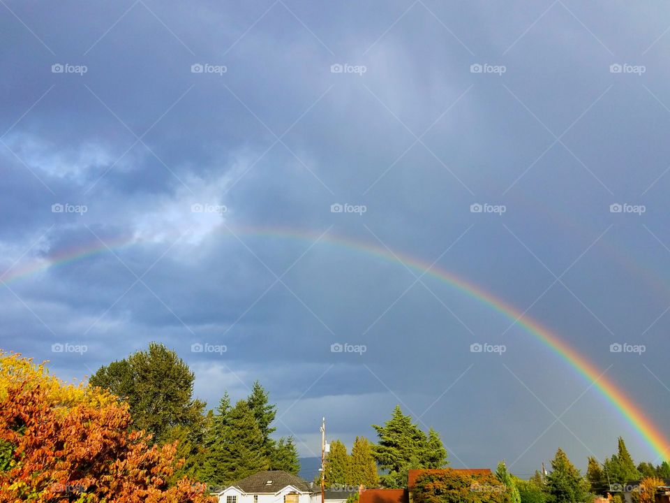 Rain, Wind and Rainbow