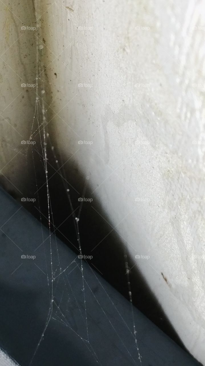 Tiny morning dew on the tiniest spider web on a shutter.