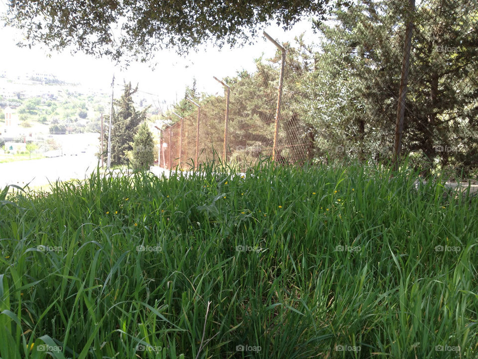 green spring nature fence by a.bilbaisi