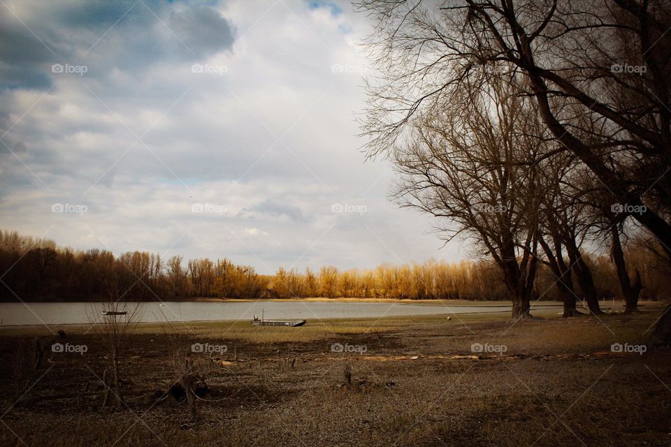 Lake near the forest