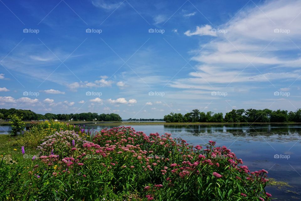 High angle view of nature