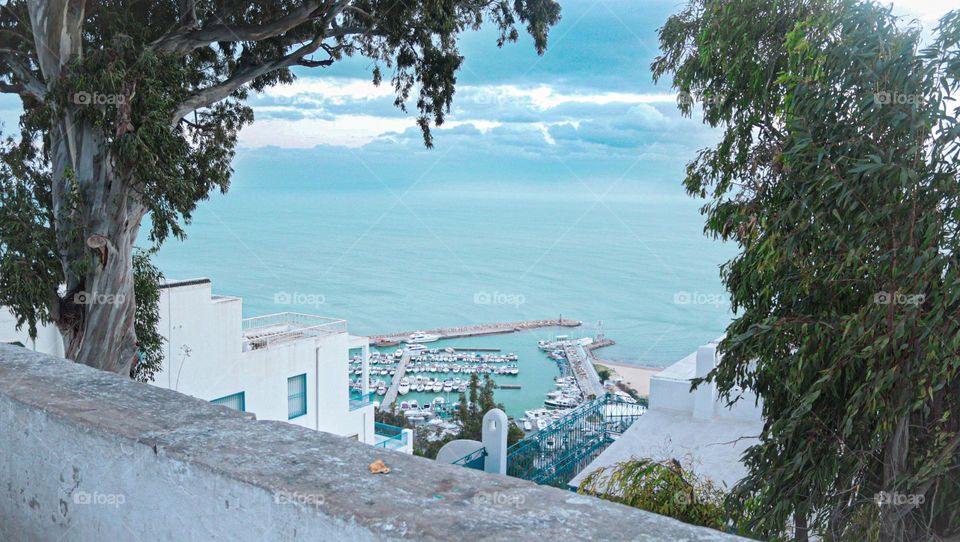 Sidi bou said