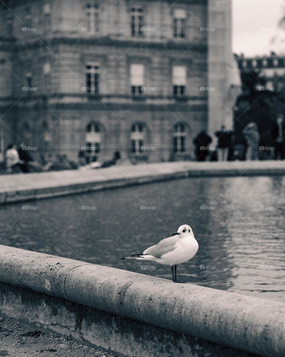 Relaxing at the Parc 