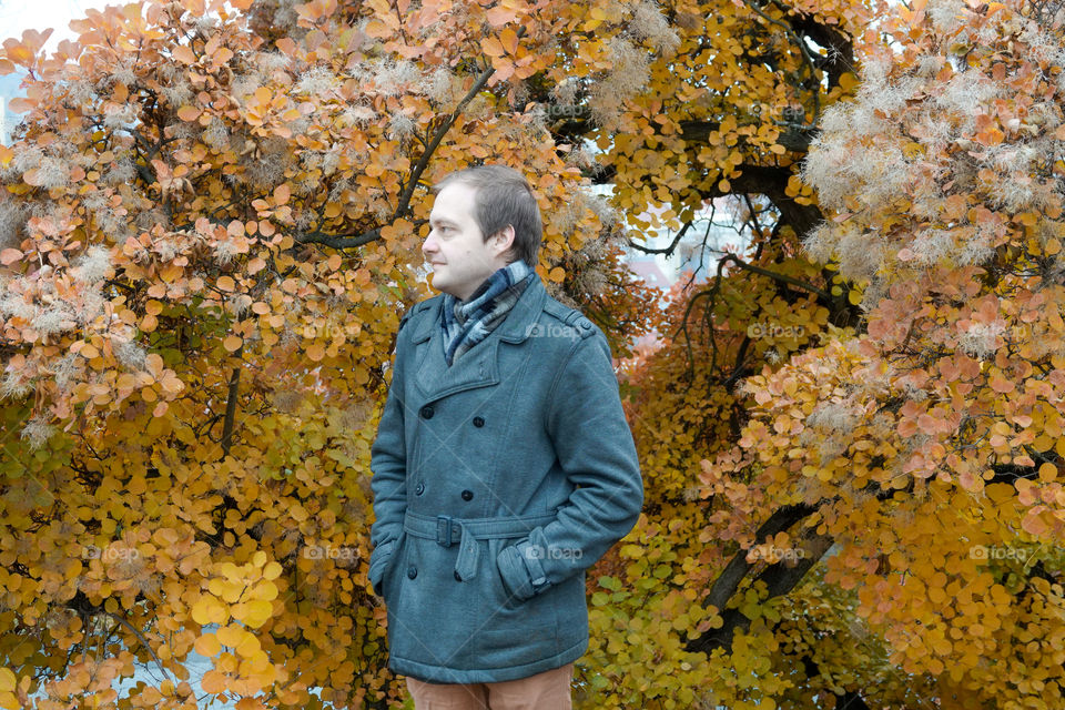 Young man in a coat near a tree with autumn colored leaves.