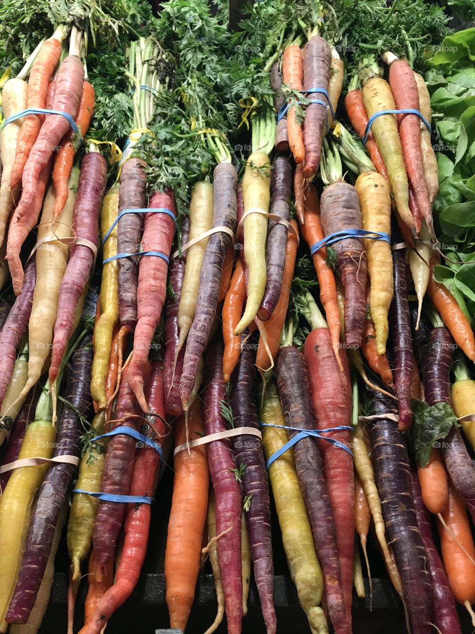 Colorful Carrots!!!