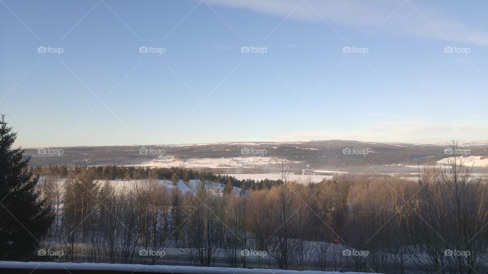 A snowy winter day in central Norway. Trees and snow till horizon.