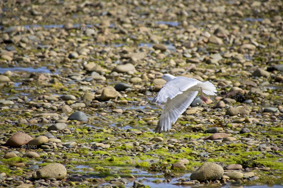 view of the beach in brittany