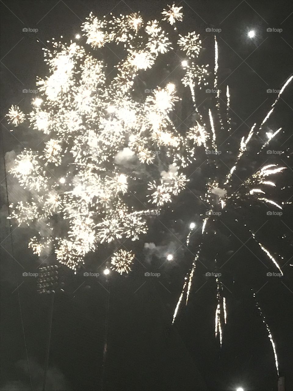 Tree, No Person, Winter, Desktop, Silhouette