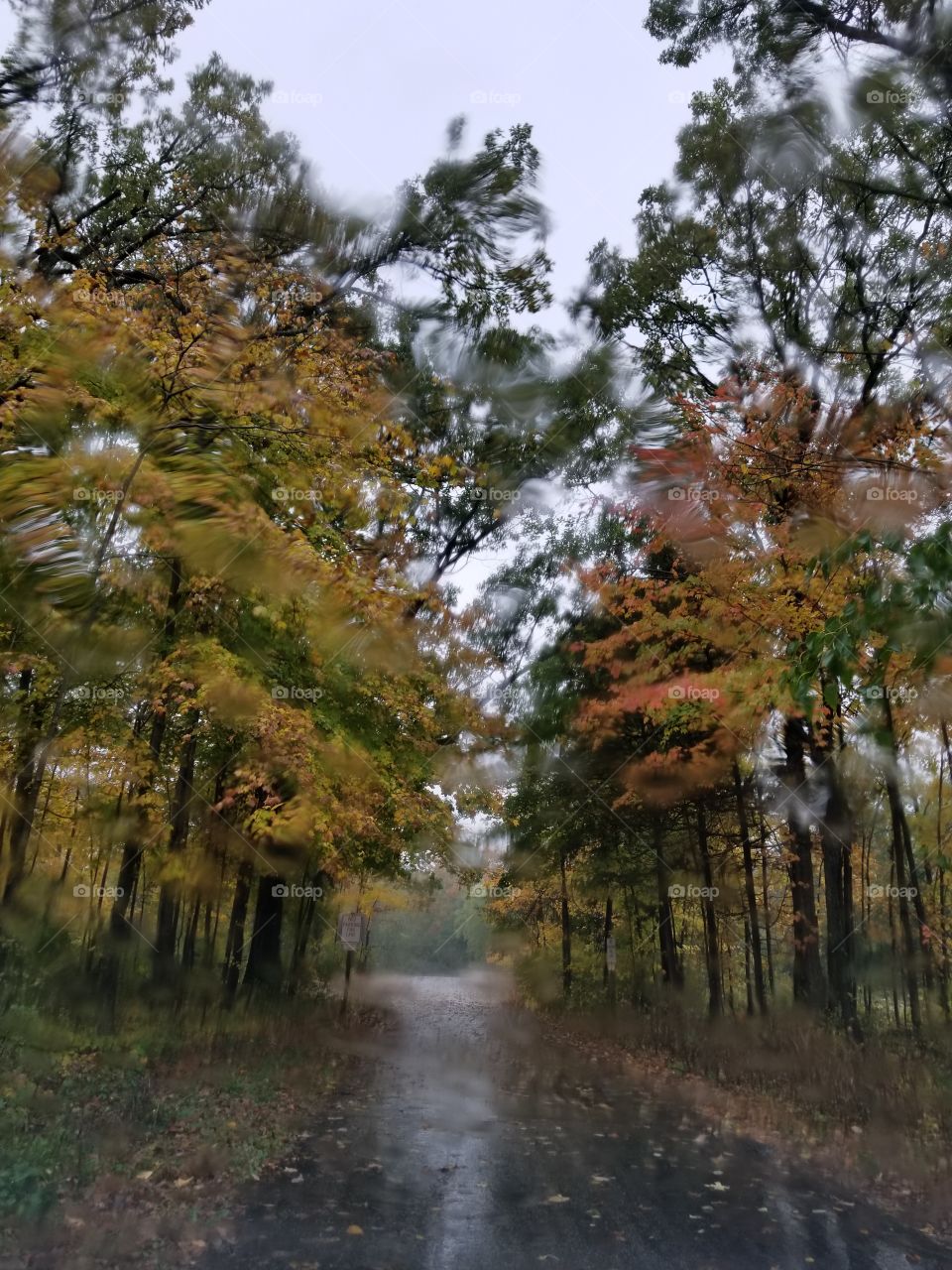A Beautiful Rainy Autumn Day In Wisconsin.