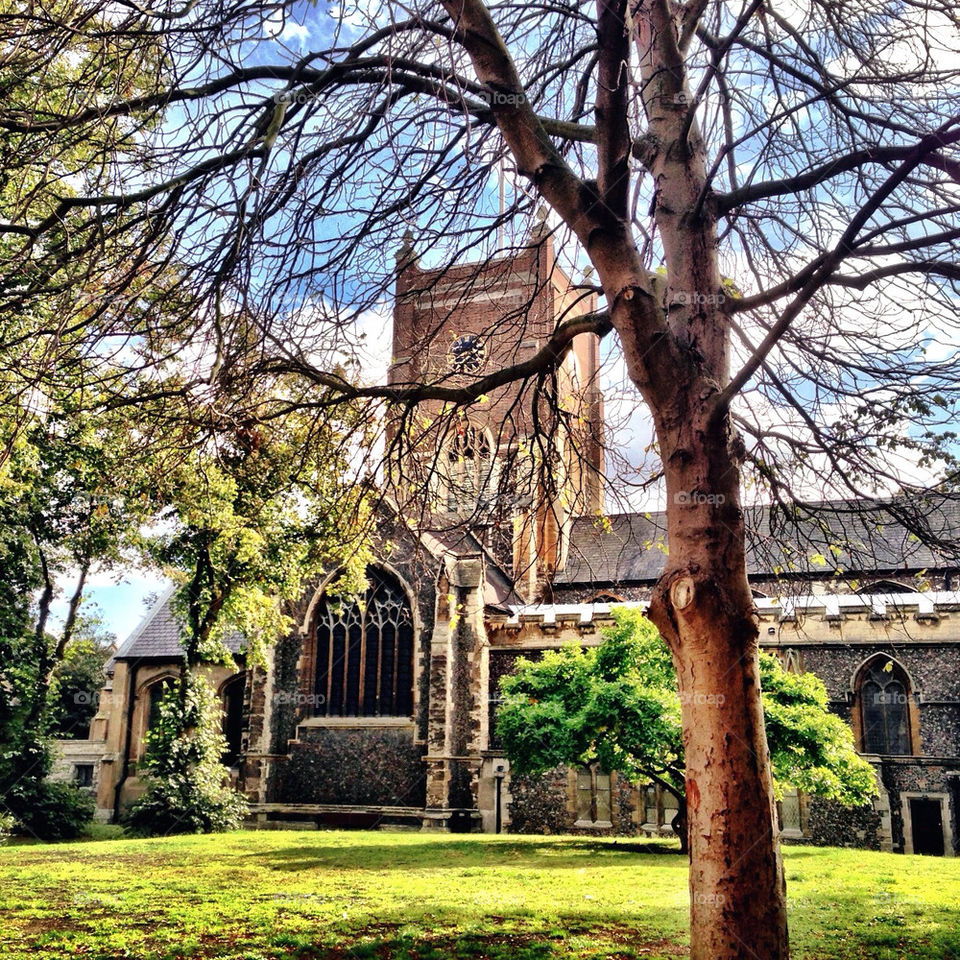 sky grass tree clouds by craigyman